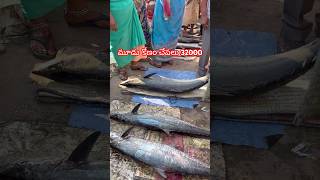 వేలం పాటలో మూడు కోణం చేపలు 32000 పలికాయి #viralvideo #fishing #shorts #youtubeshorts #subscribe 🙏❤️