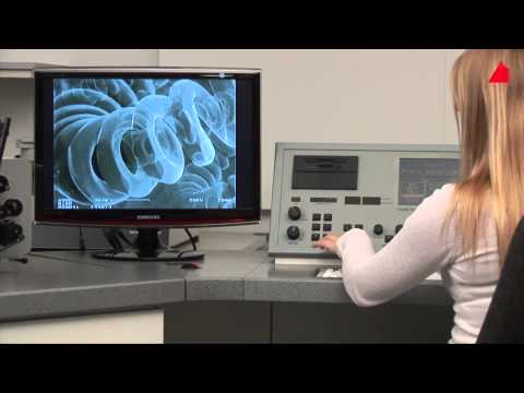 The Scanning Electron Microscope The Scanning Electron Microscope