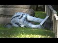 Raw: Confederate Statue Vandalized in Columbus