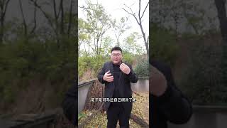 探访洛阳吕不韦墓，墓冢大如山丘，他真的是秦始皇的生父吗？