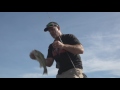 bd bluegill clip how to use it along with some nice catches