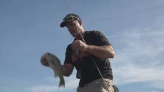 bd bluegill clip - How to use it along with some nice catches!