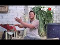 pakan domba murah sekali tanam panen selama 8 tahun @agrotv9