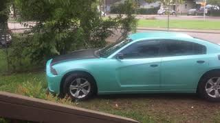 Dipped Dodge Charger Tiff Blue \u0026 Black