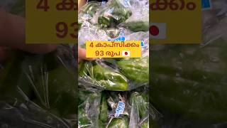 V20 : ജപ്പാനിൽ 3 കാപ്സിക്കം ₹93 || ജപ്പാൻ Expensive ആണോ?How expensive is japan#2024#expensive#shorts