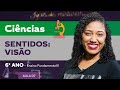 Sentidos: visão – Ciências – 6º ano – Ensino Fundamental