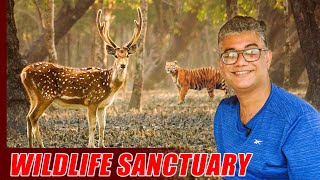 যেখানে বাঘের ভয় সেখানে BBQ পার্টি হয় | Kotka Sundarban Bangladesh | Sundarban Tour Day-2