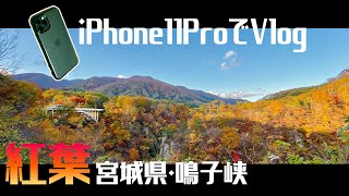 【宮城観光×紅葉スポット】鳴子峡の紅葉をiPhone11Proで撮影したらこうなった｜iPhone Vlog｜秋の東北｜家族旅行｜iPhone 11Pro動画撮影｜2019日常vlog