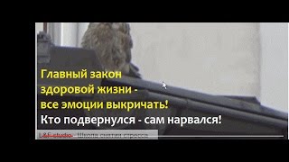 Сам нарвался. Скандал на крыше в Праге