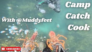 Spearfishing \u0026 Camping in Queen Charlotte Sound – Catch \u0026 Cook 2-Day Adventure with Muddy Feet