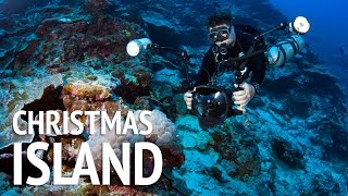 Christmas Island Cave Diving Expedition in Search of Extreme Life Forms