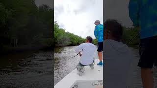 Giant Tarpon in the creeks.