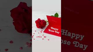 7 feb Rose Day Romantic Status🌹 🥰 || valentine's day special status 💕🥰❤️🌹