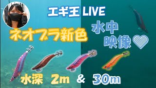 ネオブラ新色はいいかんじ！？水中映像で検証してみました💛