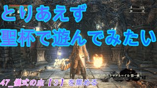 【とりあえず聖杯で遊んでみたい】47_儀式の血【３】を集める