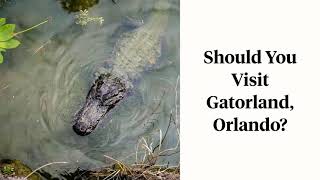 Should you visit Gatorland, Orlando? | US Travel Guide | Budget Travel