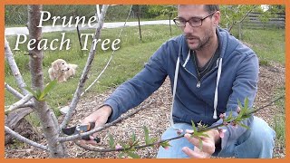 Prune the Peach Tree: Surprise Ending