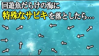 無限に湧く回遊魚の中に針だらけの特殊なサビキを落としたら...【サビキが面白くて圧勝した話】