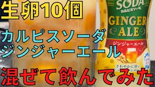 【完全栄養】　生卵10個にカルピスソーダ ジンジャーエール混ぜて乾杯する弱者男性309日目