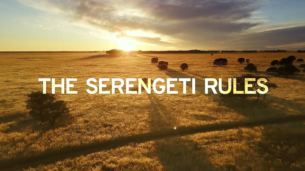 The Serengeti Rules (2019) | Trailer HD | About Life On Our Planet ...