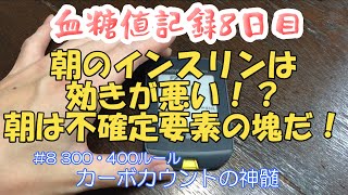 【一型糖尿病のリアル飯】朝はインスリンの効き難い！どのくらい上がるか検証！！