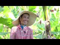 agriculture program banana chicken egg banan vol 01