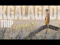 A BIG surprise at Mata Mata!  Kgalagadi Trip Episode 4/6