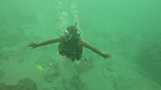 Murujuga Rangers train for underwater archaeology