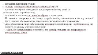 Морфологічні та біологічні особливості мікоплазм