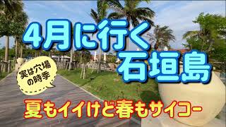 4月に行く石垣島　夏もイイけど春もサイコー♪