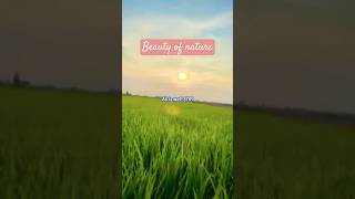 Nature of Beauty #nature#shorts #trending#reels #ytstudio#love #instrumental #music