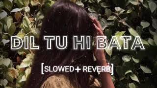 Dil Tu Hi Bata - Lofi (Slowed + Reverb) | Krrish 3 | Fs music studio