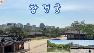 창경궁 둘러보기 :) #koreatravelvlog