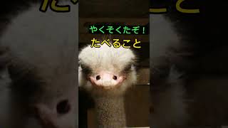 旭山動物園❗特別編！まなきくん。俺様とお約束をしよう！