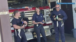 Two Knoxville fire stations install microchip scanners to help reunite lost pets