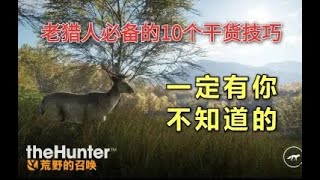 【猎人:荒野的召唤 theHunter: Call of the Wild】你可能不知道但成为老猎人必备的10个干货技巧