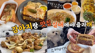 [서울 중구]강아지랑 맛집 실내에서 즐기세요 | 애견동반 식당 맛집 | 핫플 서울 가볼만한곳