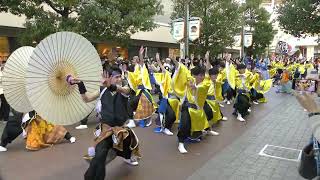 「名古屋大学“快踊乱舞”」四日市よさこい やったろ舞2022【ふれあいモール】