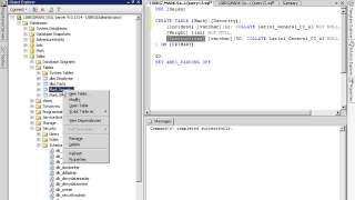 SQL Server 2005 online training Video Tutorial lesson 6 7