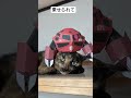 乗せられて、被せられて 猫のいる生活 猫の日常 なんじ君 おぬしちゃん gundam ガンダム cosplayer