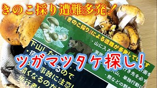 【ツガマツタケ探し！】この遊びは遭難注意！