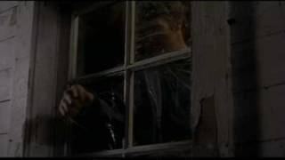 Open Window - Trailer