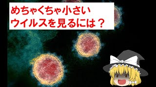 【ゆっくり解説】小さいものを見るには？【電子顕微鏡】前編