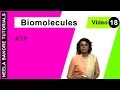 Biomolecules | NEET | ATP | Neela Bakore Tutorials