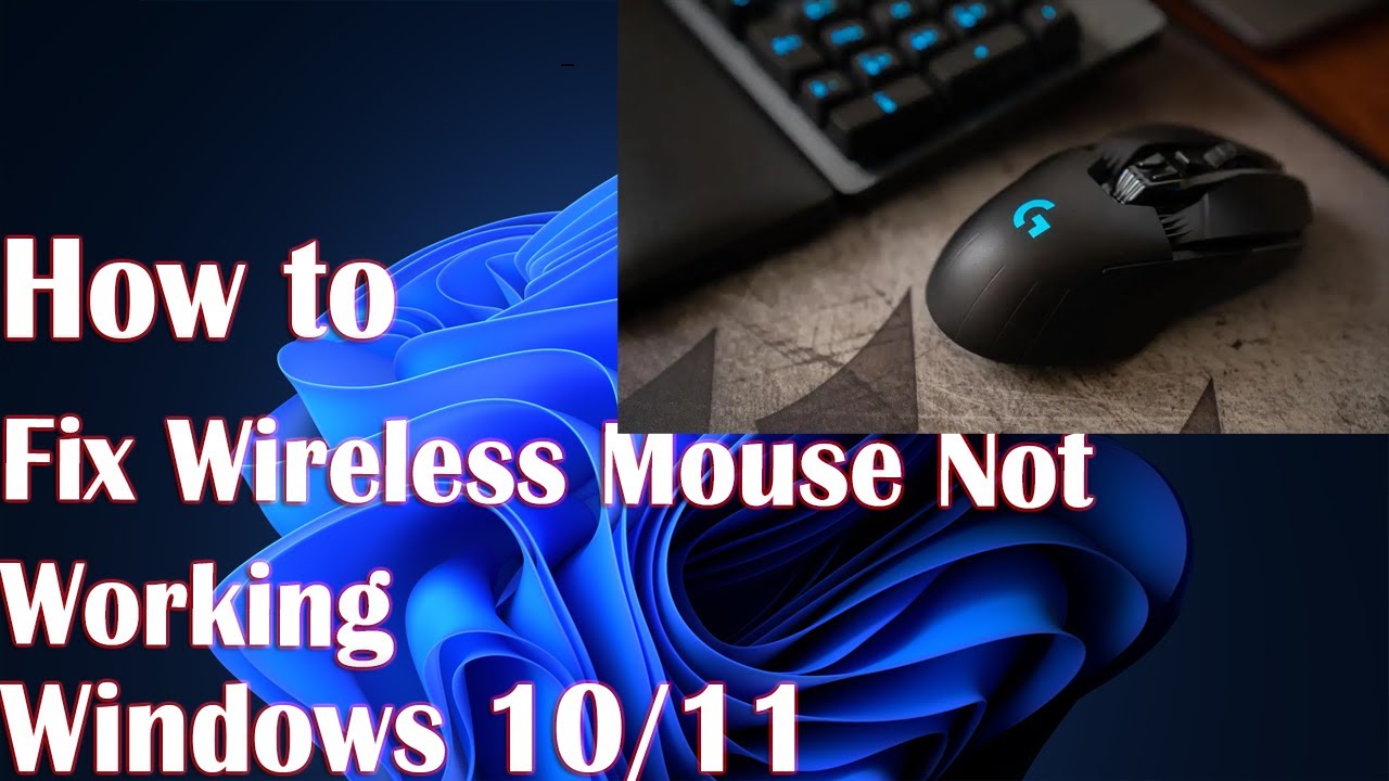 Wireless Mouse Not Working Windows 11 - How To Fix - YouTube