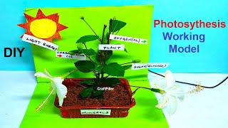 photosynthesis working model for science exhibition | inspire award science project | craftpiller