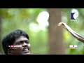 dangerous pythons along the forest trails snakemaster vava suresh ep 404