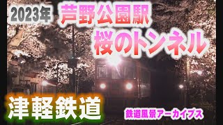 津軽鉄道 芦野公園駅 さくらライトアップ 2023