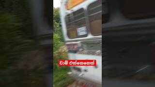 අහම්බෙන් හම්බවුන  එයා🤍🤗|| #automobile #treanding #1millo #shortvideos #sinhalasongs #shorts #viral