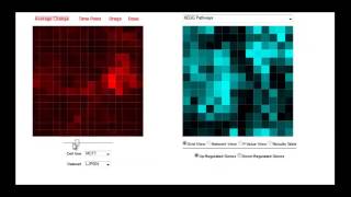 NASB Fall 2013 Lecture 15 - DrugPairSeeker and the New CMAP